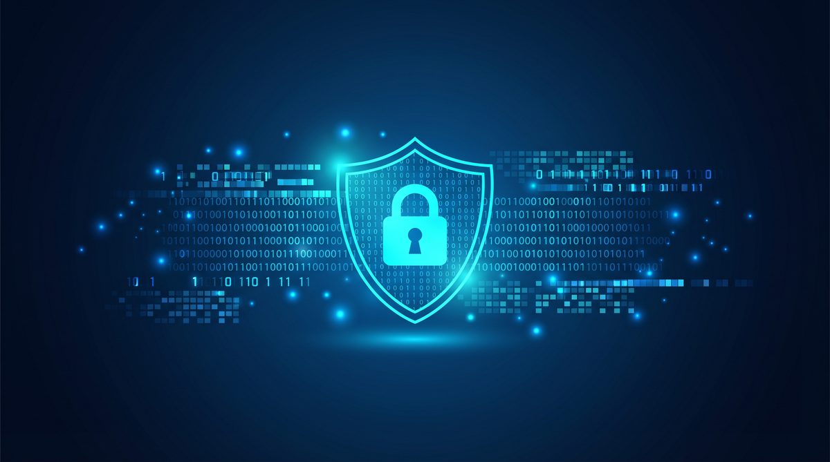 加速器提子隐私安全保护